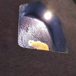 ダバ インディア - カウンターの前のオブジェが素敵です。