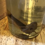 旬ものと日本酒 とみ笑 - かじか酒サンプル