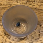 旬ものと日本酒 とみ笑 - 一色産鰻の胆嚢ポン酒割り