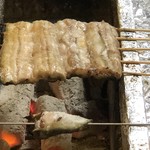 旬ものと日本酒 とみ笑 - 一色産鰻の白焼