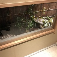 道人 - 