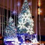 カフェ＆ブックス ビブリオテーク - 新丸ビルのクリスマスツリー