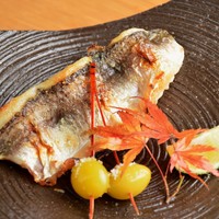 [焼物] かます塩焼 銀杏