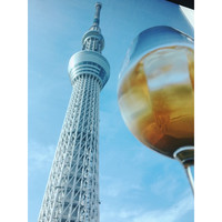 ブラッスリーオザミ 東京スカイツリータウン･ソラマチ店 - 