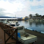 魚河岸 丸天 - 沼津港の内港。観光施設が整備されていて綺麗です。