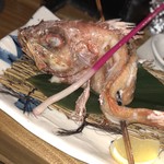 貝と魚と炉ばたのバンビ - 