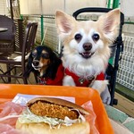 石窯パン工房 クロワッサンファクトリー - 