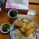 手打うどん はりや - 天ざるうどん