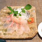 サメサン - 刺身