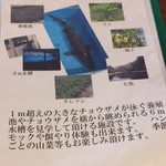 サメサン - 養殖場の楽しみ方