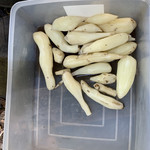 ショクヤボ農園 - 