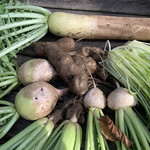 ショクヤボ農園 - 