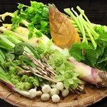 蔬菜、海草、腌菜各种
