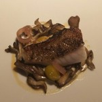 レフェルヴェソンス - 