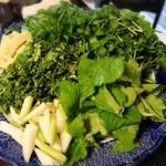 比良山荘 - 山菜たちです٩(ˊᗜˋ*)و