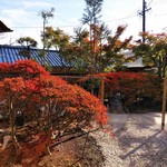 瞬 - 店内から望む庭