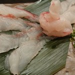 食彩 ひとくち - ミシマオコゼの刺身