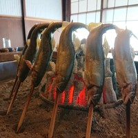 柳家 - 11月になるとおち鮎で