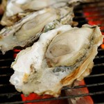 Famous grilled Oyster Hiroshima Miyajima