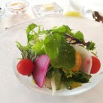 ヴィラ・デル・ソル - 彩野菜はシェフ自ら収穫するそうです。