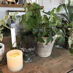 ​冬のRK GARDEN - 