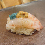 鮨 十兵衛 - 甘エビ