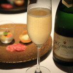 エルルカン・ビス - 