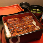 うなぎ 善 - うな重