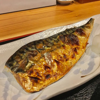 鯖とか烏賊とか真とか - 