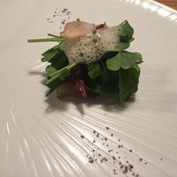 ヴァカンツァ - カツオのインサラータ