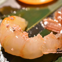 KINKA sushi bar izakaya 渋谷 - 
