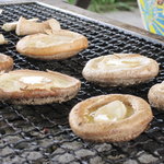 バーベキュー（椎茸）