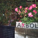 ARBOL - 