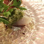 アンティカ オステリア バーチョ - シマアジのタリアータ ラヴィゴットソース 添え