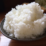 とんかつ ひろまつ - ご飯の量が尋常じゃなかったです。でも嬉しかったです。