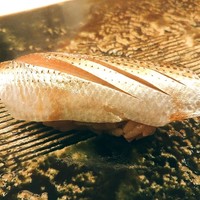 鮨 生粋 - こはだ