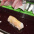 大和寿司 - 料理写真: