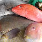 Puthimarushe - 五島列島の魚たち