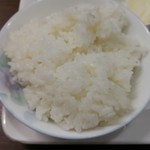 ポトスの森 - 