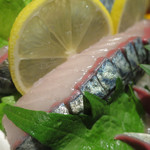 九州 熱中屋 - 活豊後サバ刺し　大分県豊後水道産