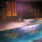 九州 熱中屋 - 大分県豊後水道産「活け豊後サバ」