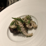 カンテサンス - 