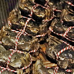 GINZA JOTAKI - 上海蟹