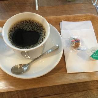 ダーウィンルーム_0