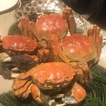 魚の家 - 上海蟹