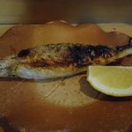 きくち - 子持ち鮎塩焼