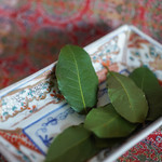 ひびき庵 - 月桂葉（げつけいゑふ）