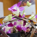 家庭料理 小川 - 