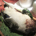 ラ シャッス - マガモ