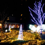 フォルテシモ アッシュ - お店の窓からはイルミネーションが♪
      (写真は外から撮りました)